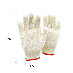 Cotton Gloves R2